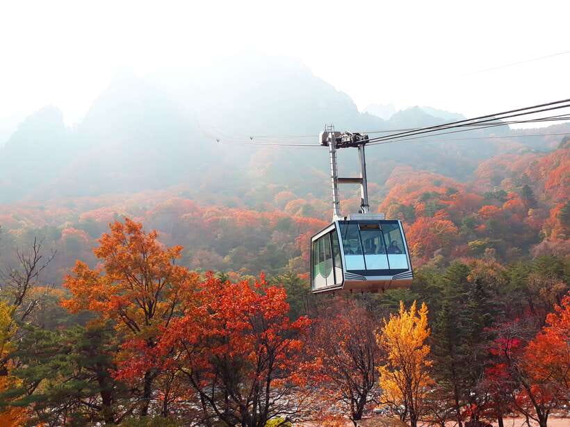Seoul: Mt.Seorak, Nami Island & Korean Garden, No Shopping - Nami Island: scenic, easy, and sometimes crowded
