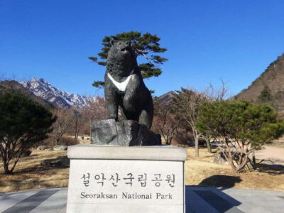 Mt.Seorak, Nami Island & Korean Garden, No Shopping