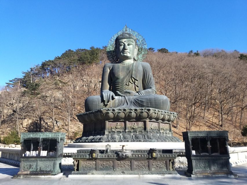 Seoul: Mt.Seorak, Nami Island & Korean Garden, No Shopping - Garden of Morning Calm after sunset