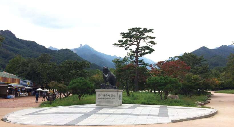 Seoul: Mt.Seorak, Nami Island, No Shopping(+RailBike Option) - Key points to know before booking