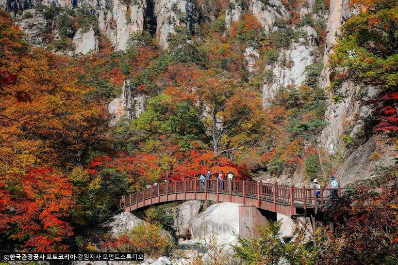 Seoul: Mt.Seorak, Nami Island, No Shopping(+RailBike Option) - Why this day trip works beyond Seoul
