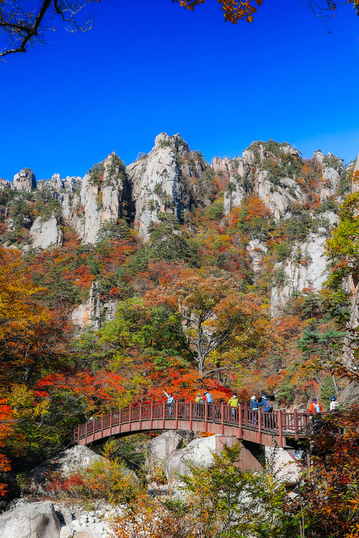Seoul: Mt. Seoraksan National Park Autumn Foliage Day Tour - Arriving around 10 AM at Seoraksan