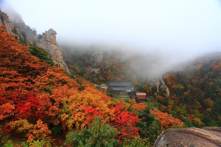 Seoul: Mt. Seoraksan National Park Autumn Foliage Day Tour - The cable car is optional and costs extra
