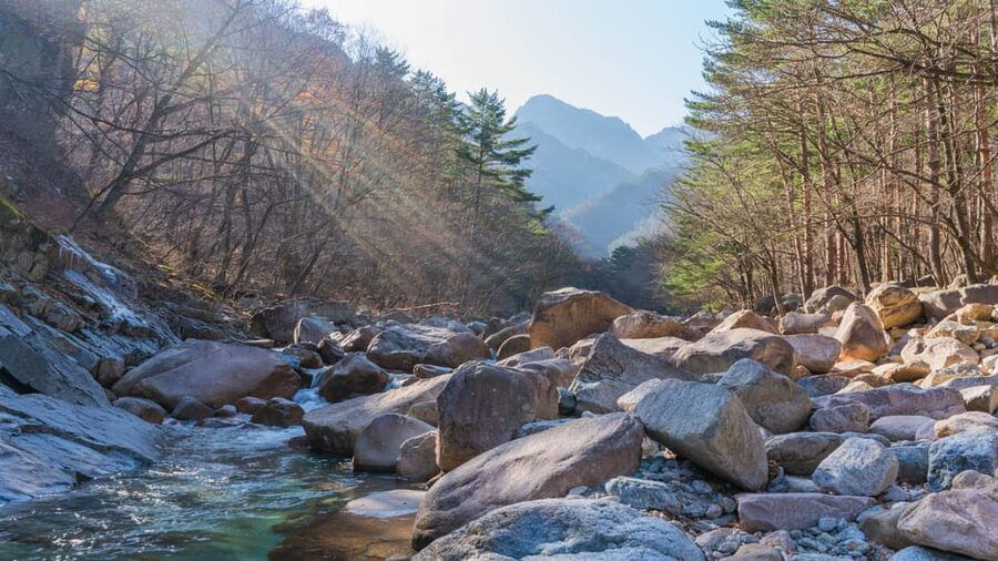 Seoul: Mt. Seoraksan National Park Autumn Foliage Day Tour - Temples, forest paths, and time to slow down