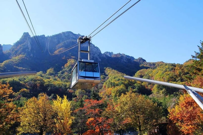 Seoul: Mt. Seoraksan National Park Autumn Foliage Day Tour - Returning to Seoul around 3:30 PM