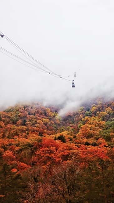 Seoul: Mt. Seoraksan National Park Autumn Foliage Day Tour - What the $60 price really includes