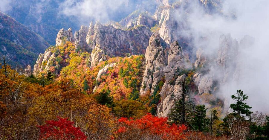 Seoul: Mt. Seoraksan National Park Autumn Foliage Day Tour - The early departure from Seoul