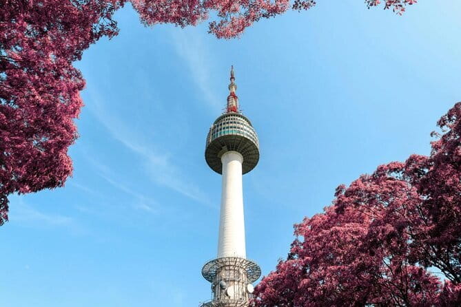Seoul: N Tower Observatory Ticket - What the N Seoul Tower visit is really like