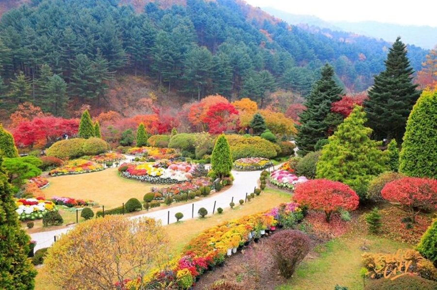 Seoul: Nami and Petite France Tour with Optional K-Garden - Key points at a glance