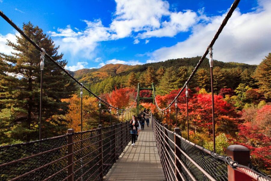 Seoul: Nami and Petite France Tour with Optional K-Garden - Who should book this day trip