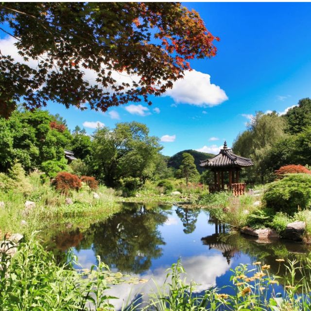 Seoul: Nami and Petite France Tour with Optional K-Garden - Adding the Garden of Morning Calm