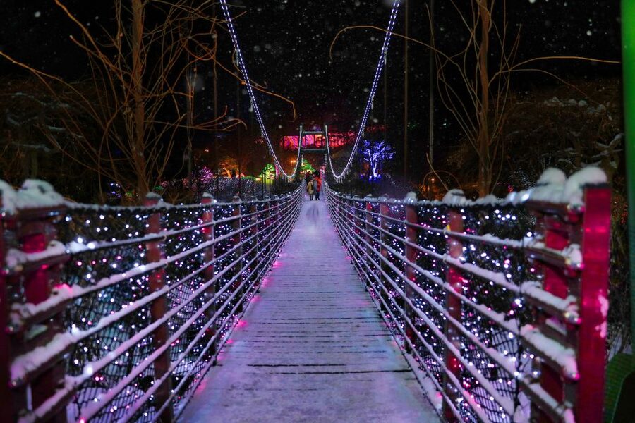 Seoul: Nami and Petite France Tour with Optional K-Garden - The guide can shape the entire experience