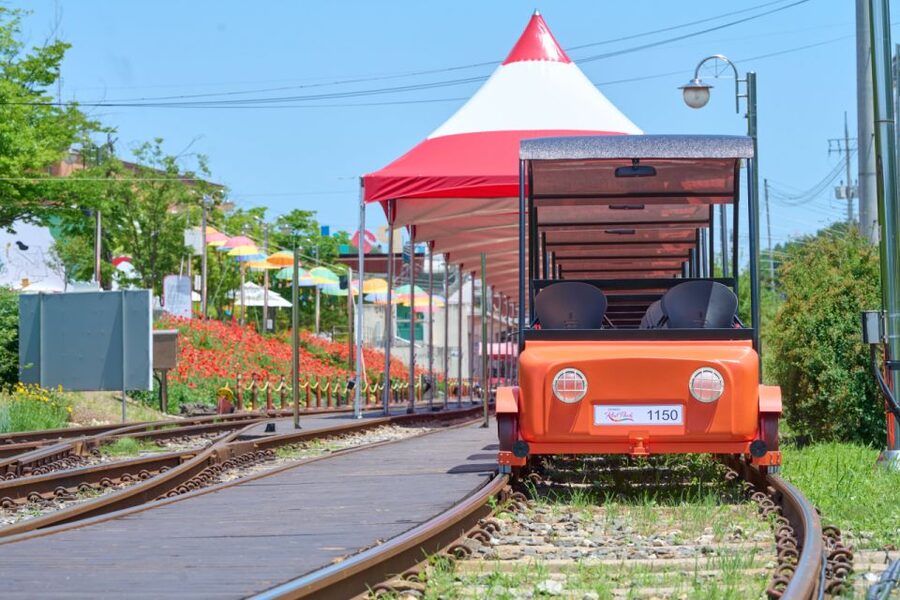 Seoul: Nami Island and Garden of Morning Calm opt Railbike - How the guides shape the day