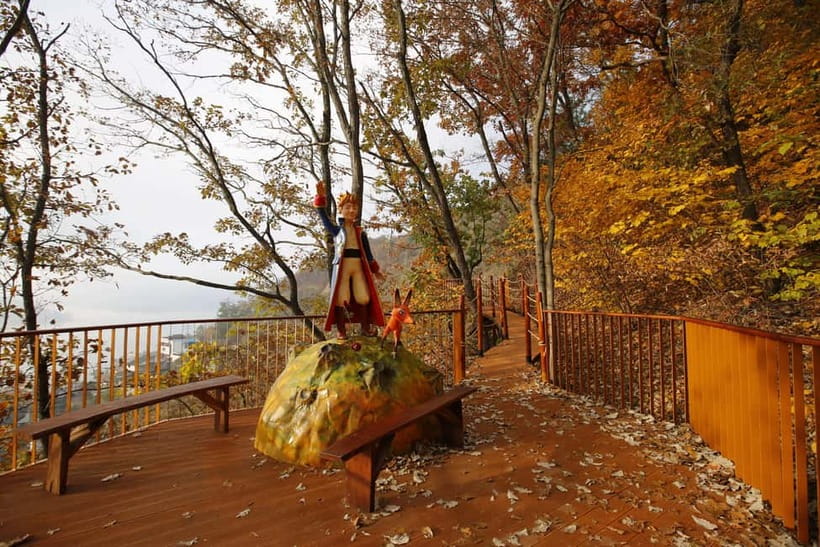 Seoul: Nami Island, Garden and Petite France (opt. Railbike) - Weather, seasons, and what to pack