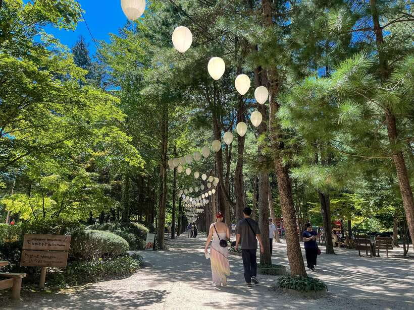 Seoul: Nami Island & Petite France Tour with Railbike Option - Key points before you book