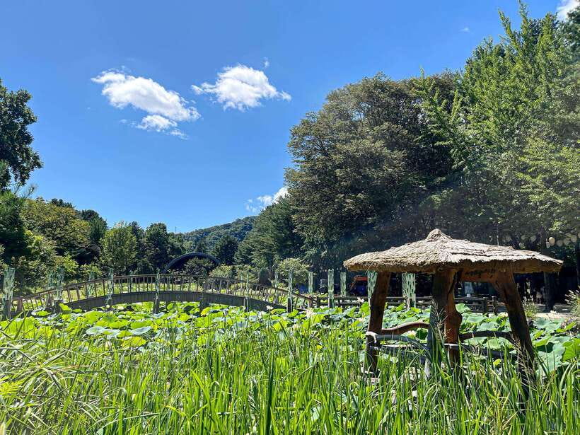 Seoul: Nami Island & Petite France Tour with Railbike Option - The coach ride from central Seoul