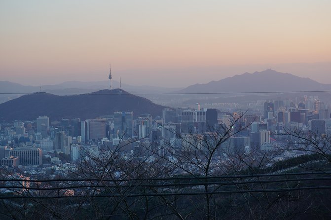 Seoul Night "Private Tour"(Korean BBQ, N-Tower, Seoul Fortress, Local Market) - N Seoul Tower and the Namsan view
