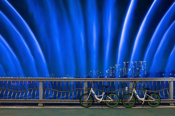 Seoul Night Tour with Han River Cruise and Gyeongbokgung Palace - The guide can make or break the day