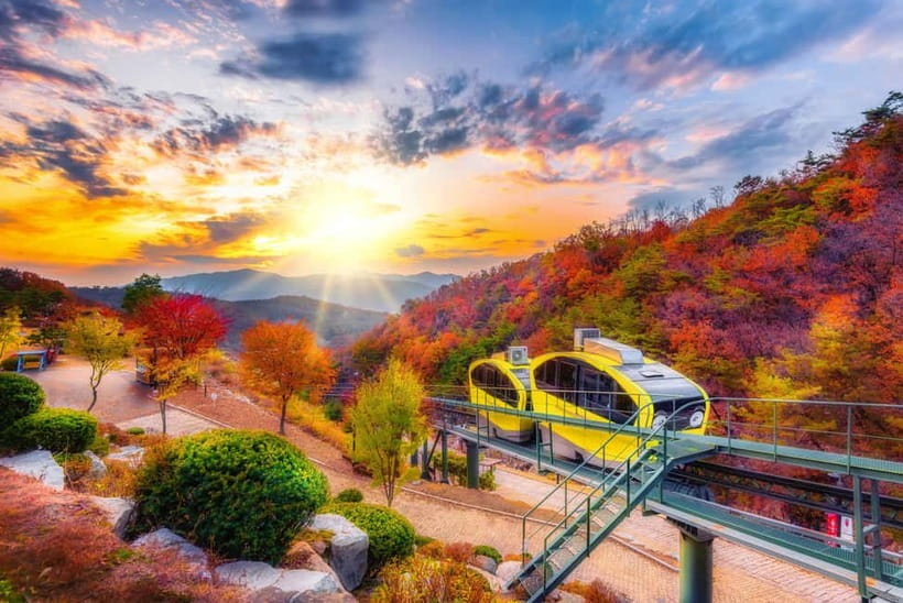 Seoul: Pocheon Art Valley, Garden and Fruit Picking Day Tour - Why this makes a good Seoul day trip