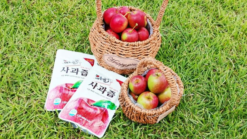 Seoul: Pocheon Art Valley, Garden and Fruit Picking Day Tour - Garden of Morning Calm: the calmest part of the day