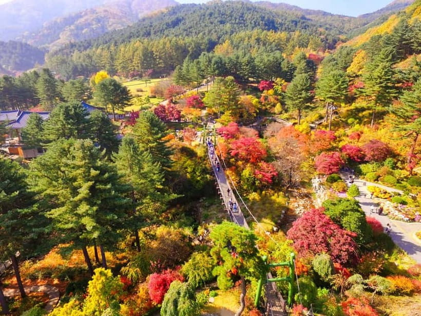 Seoul: Pocheon Art Valley, Garden and Fruit Picking Day Tour - The farm stop changes with the calendar