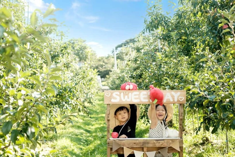 Seoul: Pocheon Art Valley, Garden and Fruit Picking Day Tour - Pocheon Art Valley and its former quarry