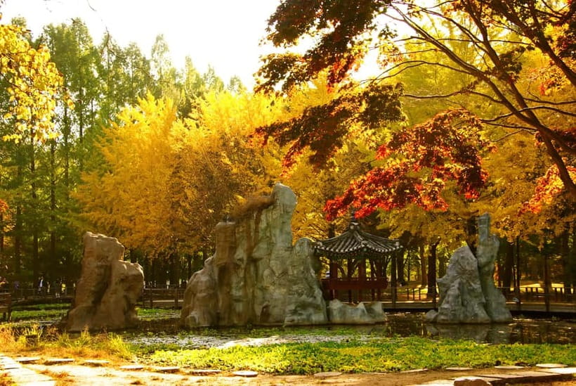 Seoul: Pocheon Art Valley, Garden and Fruit Picking Day Tour - Who will enjoy this tour most