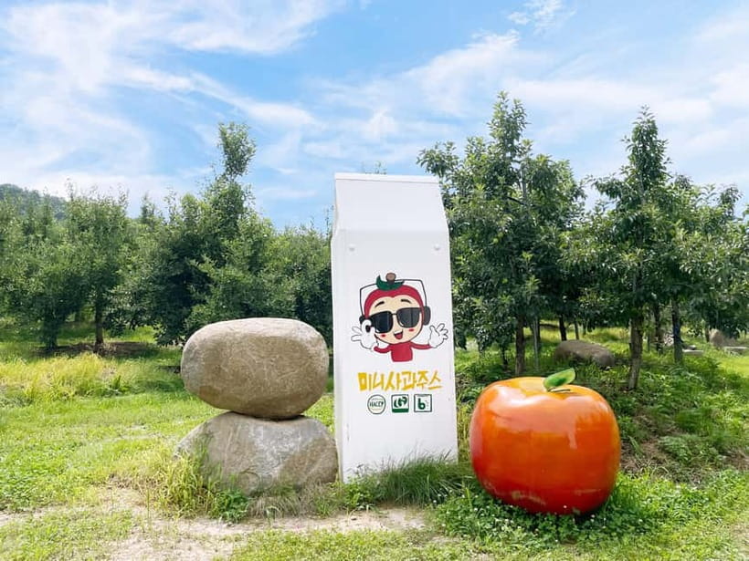 Seoul: Pocheon Art Valley, Garden and Fruit Picking Day Tour - What to bring and how to plan the day