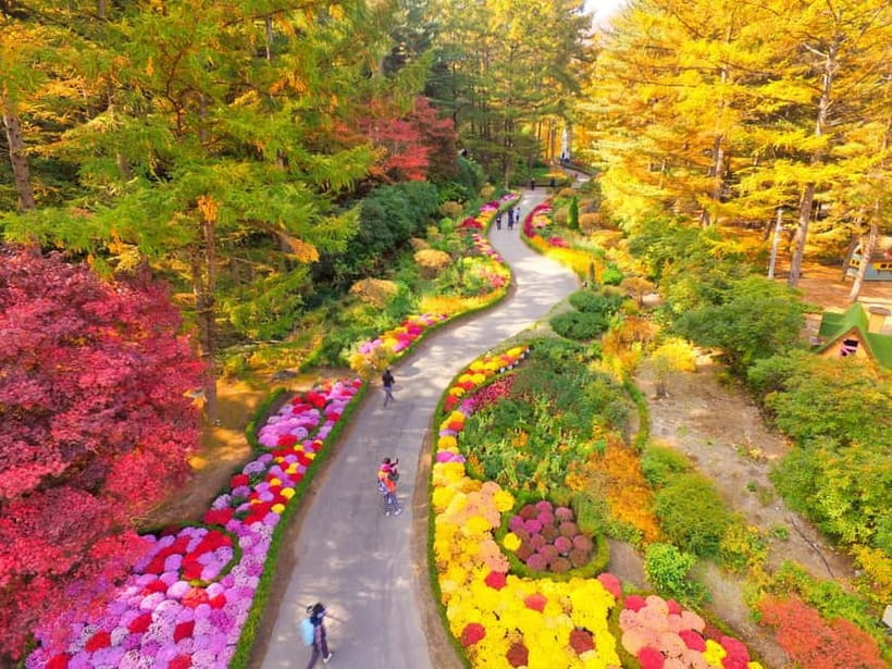 Seoul: Pocheon Art Valley, Garden and Fruit Picking Day Tour - Should you book the Pocheon day tour?