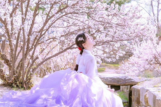 Seoul Premium Hanbok Rental at Arihanbok Photoshoot Included - Timing, transport, and group size