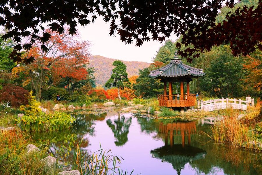 Seoul: Private Customizable Tour to Nami Island and More - Who will get the most from this day
