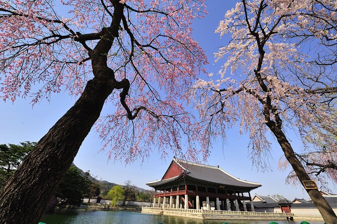 Seoul Private Tour Gyeongbok Palace Bukchon and Gwangjang Market - Bukchon Hanok Village and the art of the quick photograph