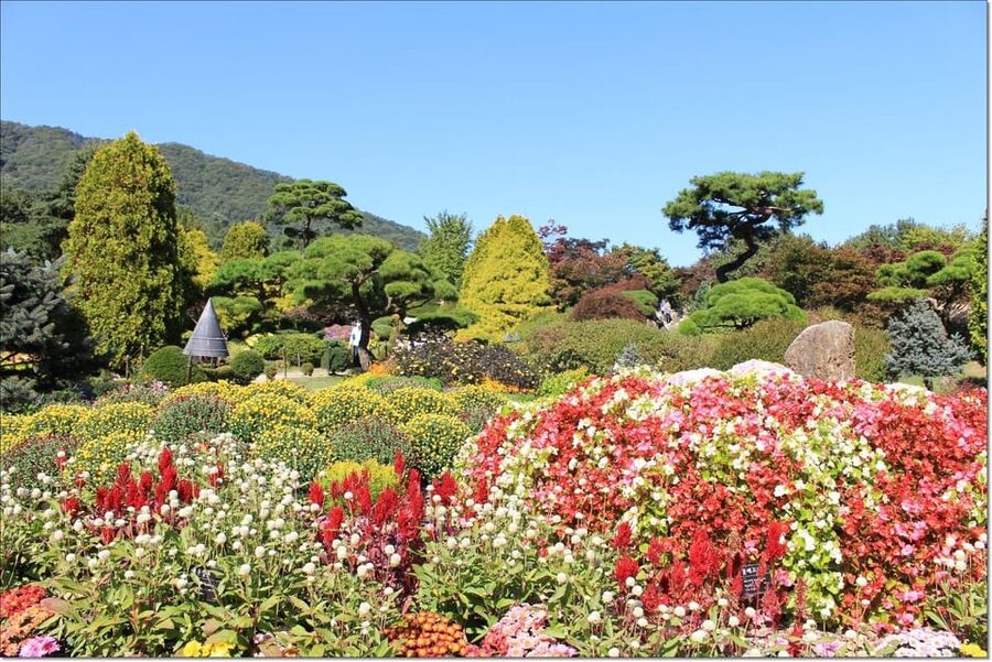 Seoul: Private Tour to Nami Island, Garden, Petite France - Making sense of the $200 price
