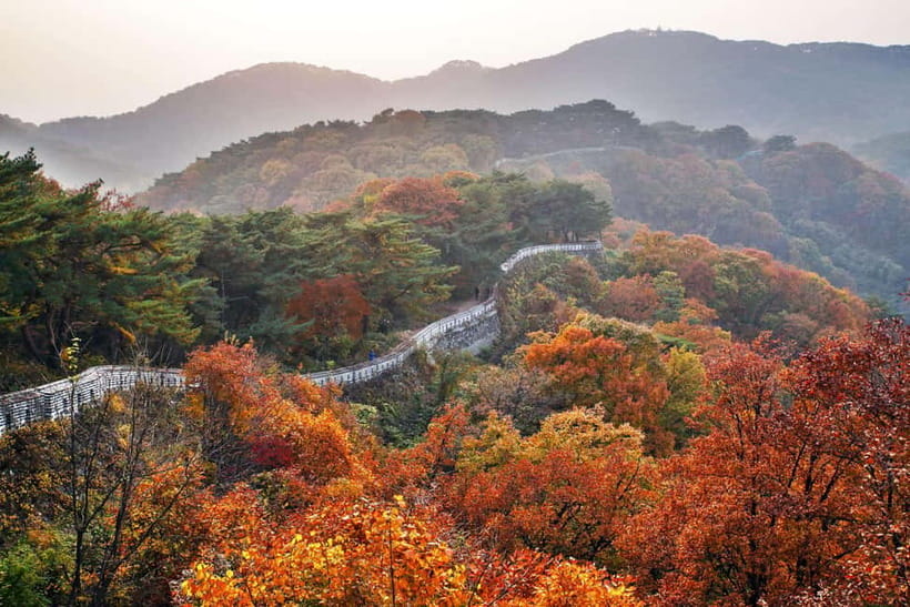 Seoul: Royal Tomb of King Sejong & Icheon Ceramic (EG Tour) - What the guide adds at Yeongneung