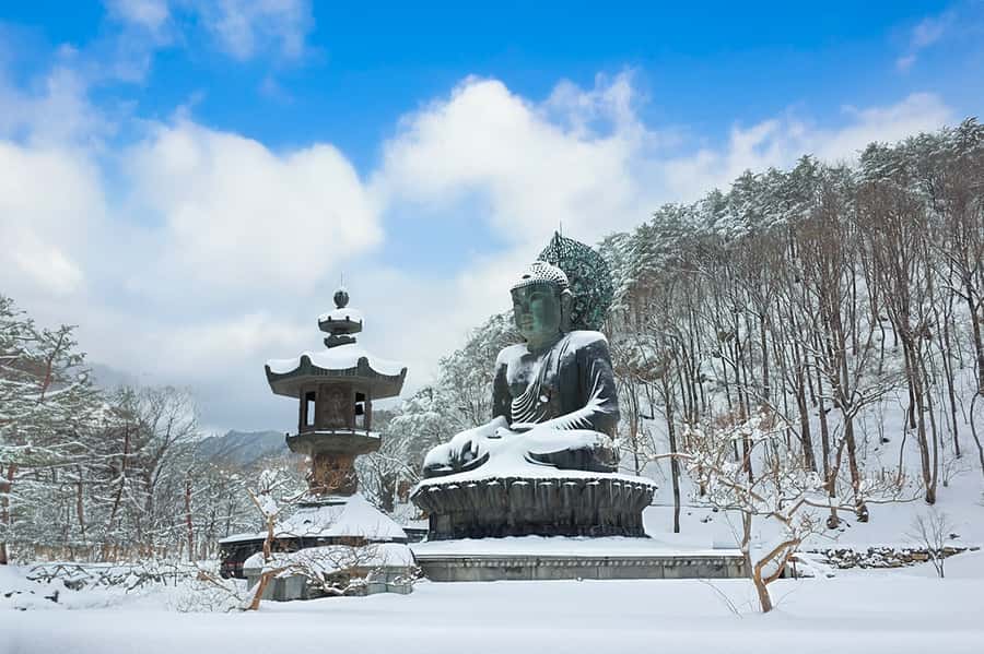 Seoul: Seorak Mountain+Nami Island+Eobi Ice Valley Tour - Why this winter combination works