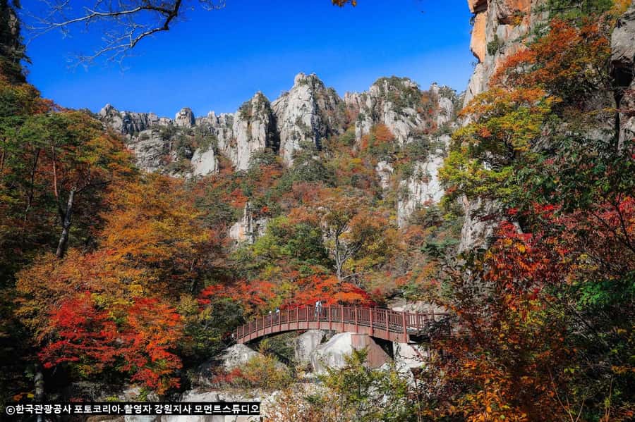 Seoul: Seorak Mountain+Nami Island+Eobi Ice Valley Tour - A guide who gives you room to explore