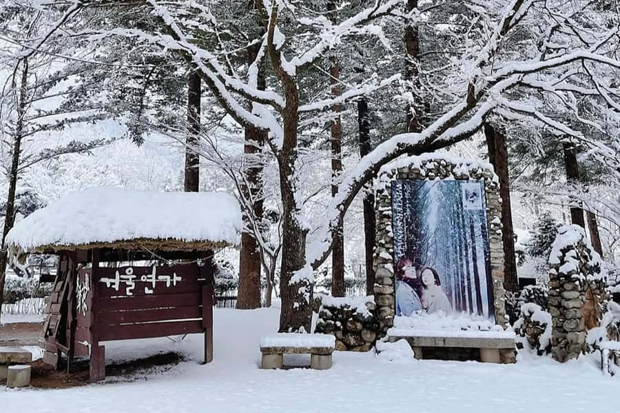 Seoul: Seorak Mountain+Nami Island+Eobi Ice Valley Tour - What the $79 price really covers