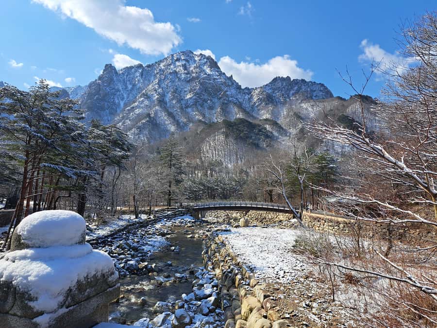 Seoul: Seorak Mountain+Nami Island+Eobi Ice Valley Tour - Who should book this day trip?