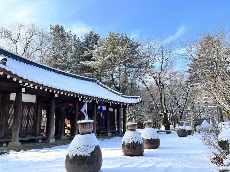 Seoul: Seorak Mountain+Nami Island+Eobi Ice Valley Tour - Practical tips for a smoother day