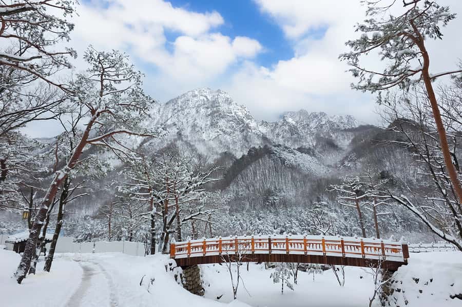 Seoul: Seorak Mountain+Nami Island+Eobi Ice Valley Tour - Seoraksan: rocky peaks, temple bells, and a cable-car choice