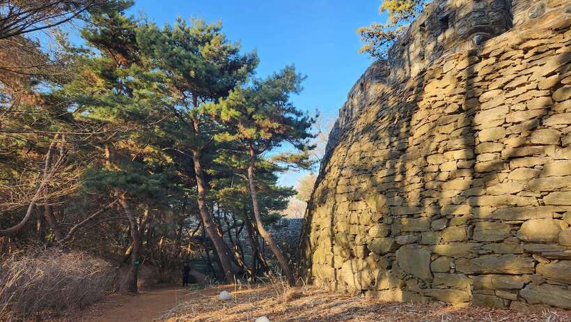 Seoul: Services of a Local for a Day (Paperwork/Tour/Fun) - Key points at a glance