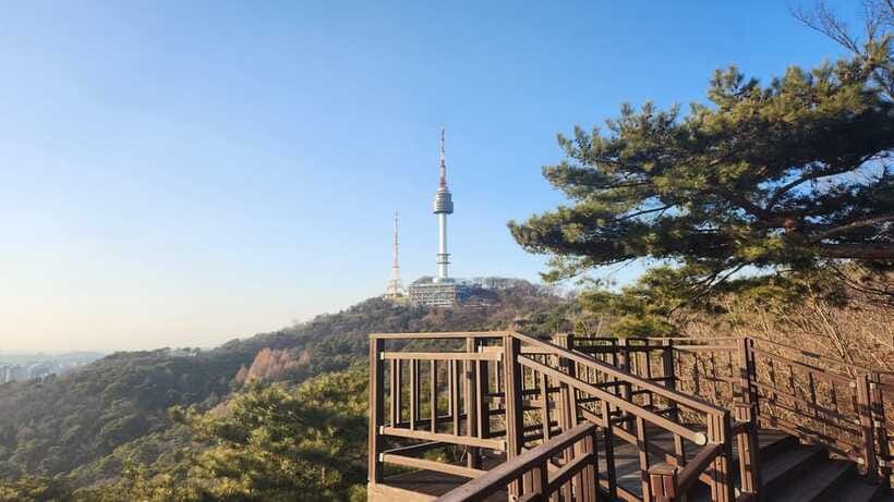 Seoul: Services of a Local for a Day (Paperwork/Tour/Fun) - Food, shopping, and an easygoing day