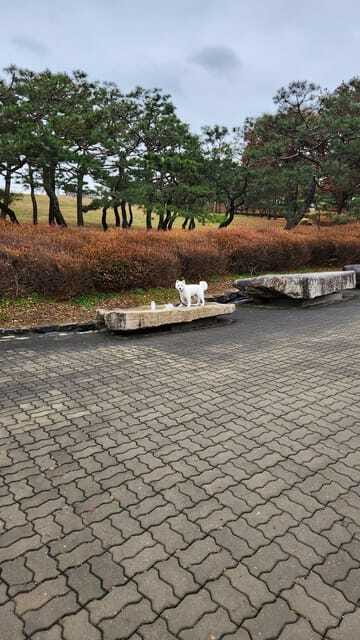 Seoul: Services of a Local for a Day (Paperwork/Tour/Fun) - Price: good value for the right day