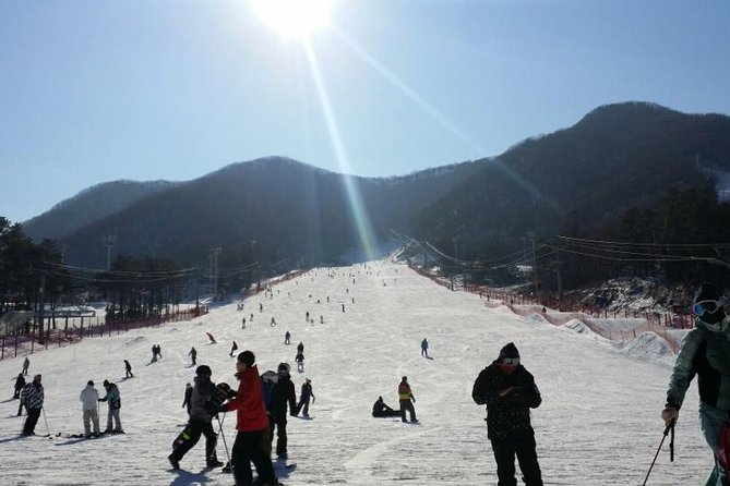 Seoul Ski Tour at Jisan Forest Resort - What the guide adds to the day