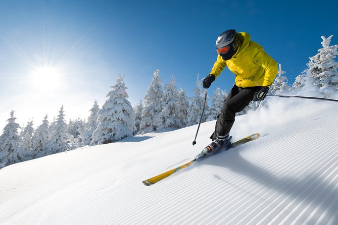 Seoul Ski Tour at Jisan Forest Resort - Who should book this Seoul ski day