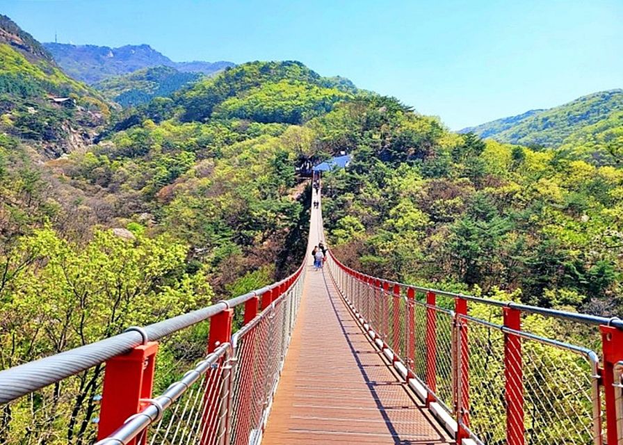 Seoul: Small-Group DMZ Tour with North Korea Experience Hall - Who should book this tour