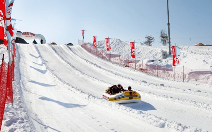 Seoul: SnowyLand in Vivaldi Park with Nami or Alpaca - Snowy Land gives the day its winter energy
