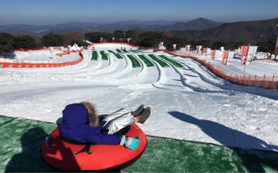 Seoul: SnowyLand in Vivaldi Park with Nami or Alpaca - Choose Nami Island for scenery and a slower pace