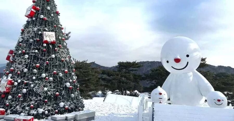 Seoul: SnowyLand in Vivaldi Park with Nami or Alpaca - The bus ride is a real part of the experience