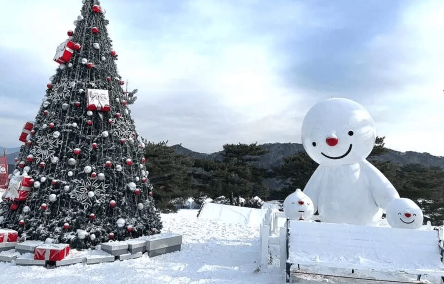 Seoul: SnowyLand in Vivaldi Park with Nami or Alpaca - Is the $70 price fair?